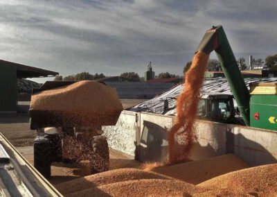 DRY-IN versus Containertrockung